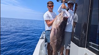 Dogtooth Groupers maltese Dott Abjad 10kg and 35kg Malta Deep Sea Fishing Slow Pitch Jigging [upl. by Nauqat]