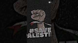 Free Palestine 🇵🇸🇵🇸palestine [upl. by Amjan610]