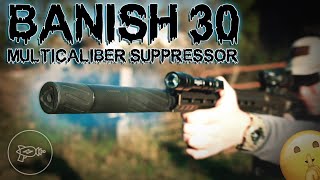 A OneSizeFitsAll Suppressor Solution 🤔 Silencer Central Banish 30 Review [upl. by Johnsson77]