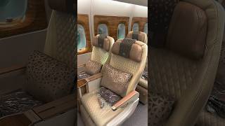 Emirates Premium Economy Review [upl. by Kurys24]