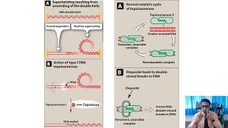 Topoisomerase 1 inhibitors anticancer [upl. by Oiramrej856]