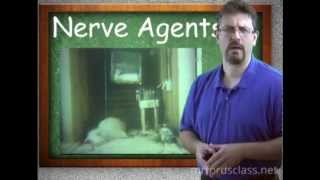 Chemical WeaponsNerve Agents Lesson 3 Chemical Weapons [upl. by Aicerg]