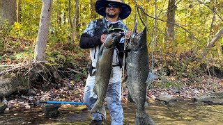 PESCA DE SALMONES GIGANTES 100 ACCION PURA MEGA CAPTURAS [upl. by Deacon]