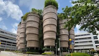 Nanyang Technological University Campus Tour [upl. by Piefer]