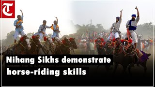 Nihang Sikhs demonstrated horseriding skills in Punjabs Amritsar on Bandi Chhor Divas [upl. by Zaria]