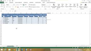 Excel 2013  Dataanalyse  17 Werken met autofilter [upl. by Potash]