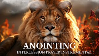 Intercession Prayer Instrumental  Warfare  The Anointing 2 [upl. by Oznarol]