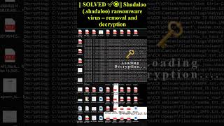 Shadaloo shadaloo ransomware virus Shorts Trending ransomwarevirus [upl. by Akemot691]