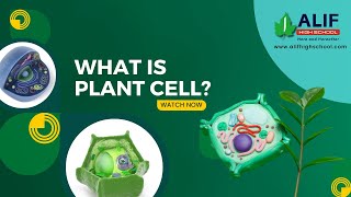 What Is Plant Cell  Explained  Alif High School [upl. by Castora]