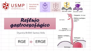 Medicina 1  Sesión 8A  RGE  ERGE  Dyanira Santos  2024  2 [upl. by Morvin]