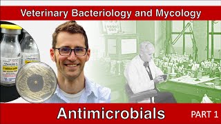 Antimicrobials Part 1  Veterinary Bacteriology and Mycology [upl. by Bird511]