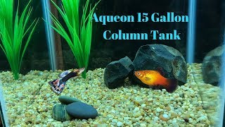 Aqueon 15 Gallon Column Aquarium [upl. by Lacee]