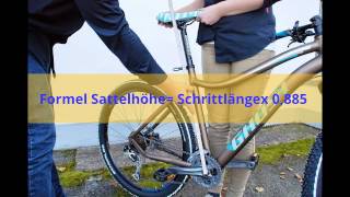 Fahrradsattel richtig einstellen [upl. by Anaeerb]