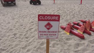 Del Mar closes beaches for swimming and surfing after shark attack [upl. by Letnuahs974]