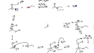 Mechanism of the Fischer Esterification in Organic Chemistry [upl. by Idnerb70]