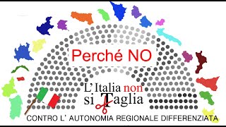 AUTONOMIA DIFFERENZIATA perchè NO in 3 minuti [upl. by Oniliuqnart]