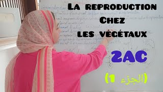 la reproduction chez les végétaux التوالد عند النباتات partie 1 [upl. by Alehtse]