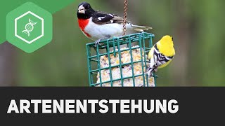 Artenentstehung [upl. by Alset]