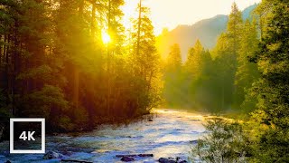 Golden Sunrise on Merced River Yosemite  4K Relaxing Nature Scene  Relaxing River Sounds  6 Hour [upl. by Gavini]