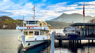 A spectacular winter cruise across Lake Lucerne 🇨🇭 From Lucerne to Weggis Rigi [upl. by Pelaga]