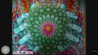 1200 Micrograms  Mescaline Astrix Remix [upl. by Whitehurst]