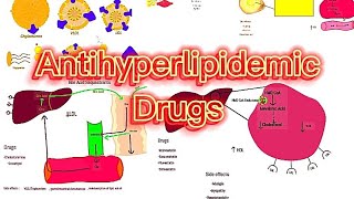 Pharmacology 20 Antihyperlipidemic drugs  Dawooyinka hoos loogu dhigo Duxda dhiiga [upl. by Kiryt]