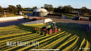 Maize Harvesting from Field to Clamp  Gooderham Farms [upl. by Schenck]