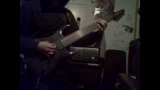 Vildhjarta  Shadow 8 string cover [upl. by Armalda]