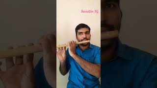 Kaiyetha Kombathu Kannathanam from the movie Vinodayathra  Flute Cover By Sweetlin SG Shorts [upl. by Lyssa]