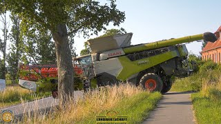 Knappe Angelegenheit an der Straße Mähdrescher schneidet neues Feld an Gut Hohen Luckow Raps Ernte [upl. by Tawsha62]