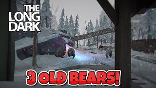 The Long Dark  Always Hunted Challenge  Three Old Bears [upl. by Aiksas268]