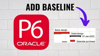 How to add baseline in Primavera P6 [upl. by Irita]