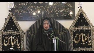 1st Majlis Alima Razia Batool Najafi Sahiba 2019 at Yasrab Imam Bargah Karachi [upl. by Leorsiy]