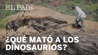 DINOSAURIOS ¿Causó un METEORITO su EXTINCIÓN [upl. by Acus]