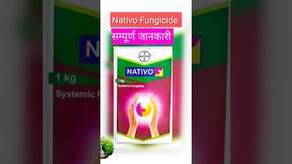 Nativo fungicide shorts  Nativo bayer fungicide use [upl. by Arocahs]