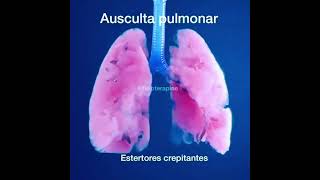 Ausculta pulmonar estertores crepitantes [upl. by O'Grady]