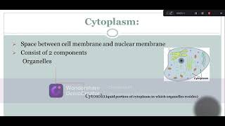 Cytoplasm Structure Composition and Function Lecture2 Part3 Biological World🐛🍀 [upl. by Quinta]