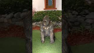 Hermoso jardín con animales salvajes En mall del sur plants jardin jardinería decoration [upl. by Atarman847]