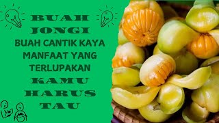 BUAH JONGI BUAH YANG CANTIK KAYA AKAN MANFAAT YANG TERLUPAKAN [upl. by Pachston563]