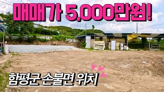 전남토지매매 매물번호415 매매가 5000만원 토지 매매  함평군 손불면 죽장리 시골땅 촌땅 토지 매매 [upl. by Aihseyn30]