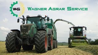 CLAAS Jaguar 980  WAGNER AGRARSERVICE häckselt Grünroggen  Mercedes LKW  FENDT Traktoren [upl. by Nitsa]