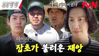 할 일이 계속 쌓이는 농사의 세계｜몰래 온 손님 차태현과 대놓고 온 손님 잡초의 반란 highlight 콩콩팥팥 콩심은데콩나고팥심은데팥난다 EP6 [upl. by Seth416]