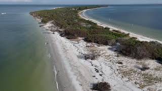 Egmont and Passage Key damaged after Hurricane Helene  and some fish [upl. by Onateag701]