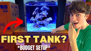 Beginner’s Guide to Setting Up YOUR FIRST SALTWATER AQUARIUM On a Budget [upl. by Lazarus]