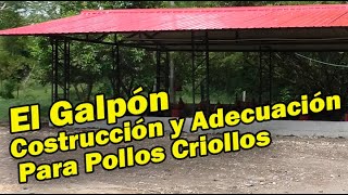 EL GALPÓN CONSTRUCCIÓN Y ADECUACIÓN PARA POLLOS CRIOLLOS [upl. by Bruce]