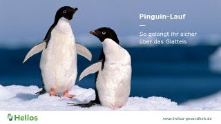 Achtung Glatteis Mit dem PinguinGang sicher über die Straße [upl. by Eenolem268]