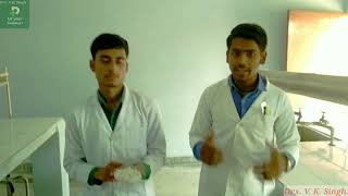 How to make Paracetamol Tablet PCM  Paracetamol make in lab experiment Babaharidass college [upl. by Fronniah]