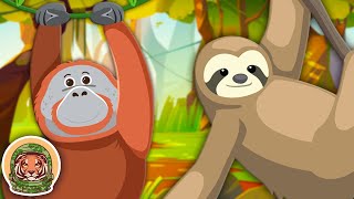 Learn About Endangered Animals  Animal Songs For Kids  KLT WILD [upl. by Westfahl]