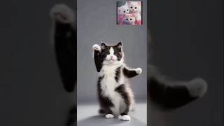 cutecats dance 💖💖shortsviralyoutubeshortsytshortsviralshortsshortsfeeds [upl. by Nnomae575]