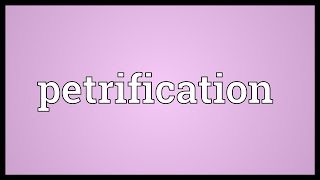 Petrification Meaning [upl. by Raine399]